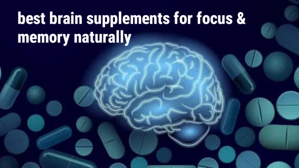 Best Brain Supplements for Focus & Memory