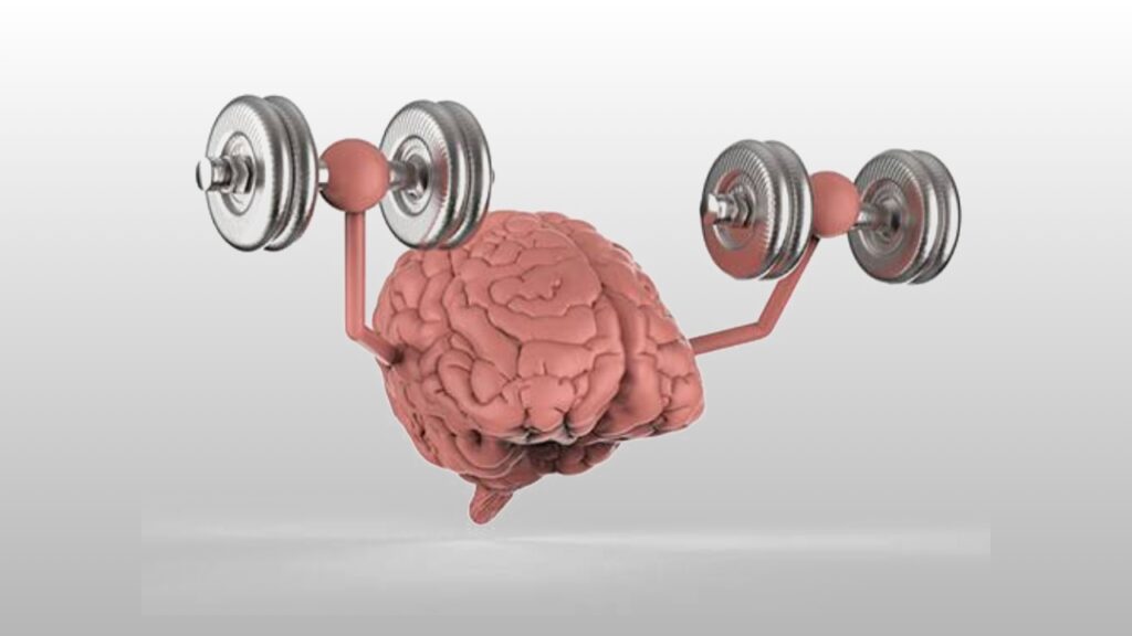 Best Brain Supplements for Focus & Memory